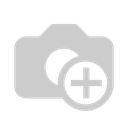 STEM-CAP-updated-colorful-2_.webp